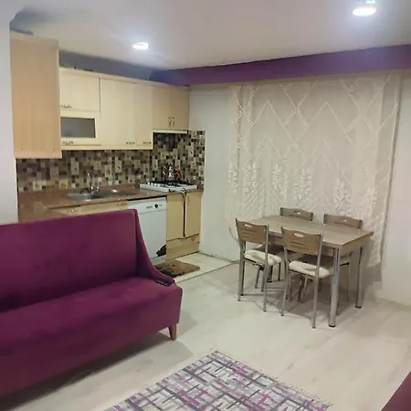 Tatilinizin Yeni Evi Σπίτι διακοπών *